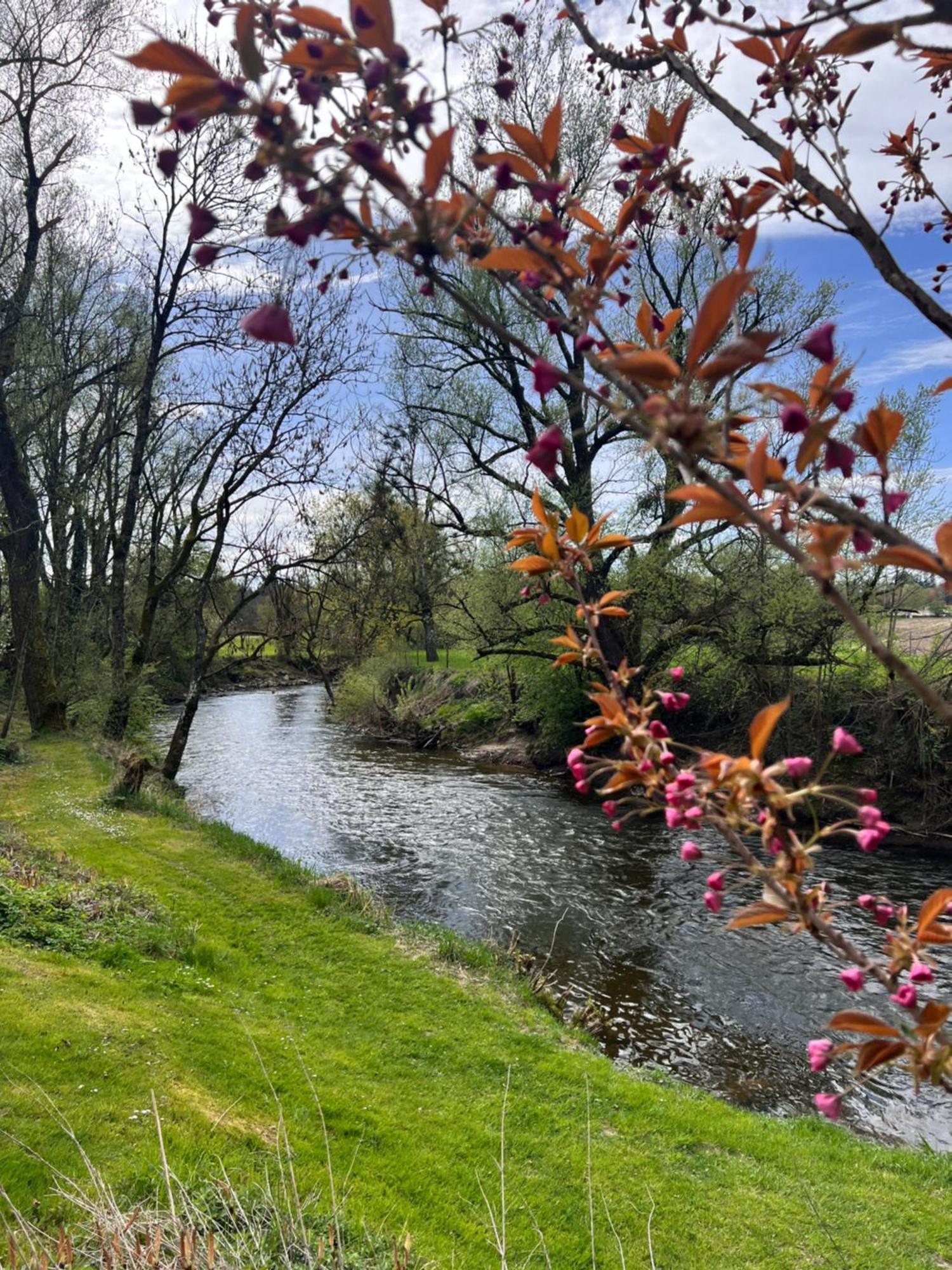 Am Flussgarten Eriskirch Exterior foto