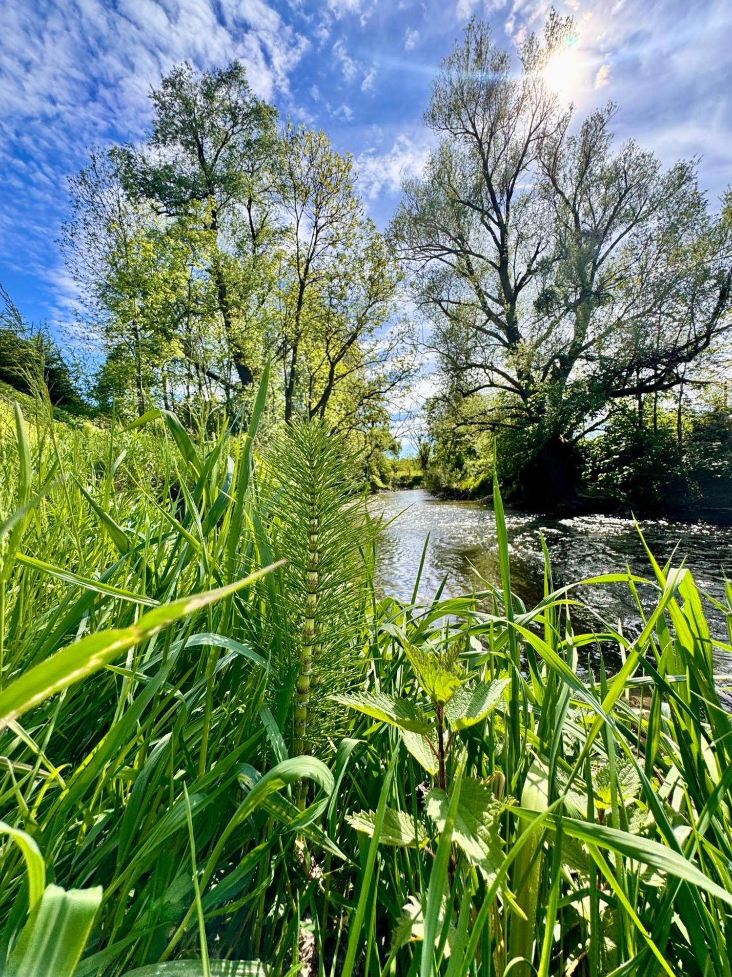 Am Flussgarten Eriskirch Exterior foto
